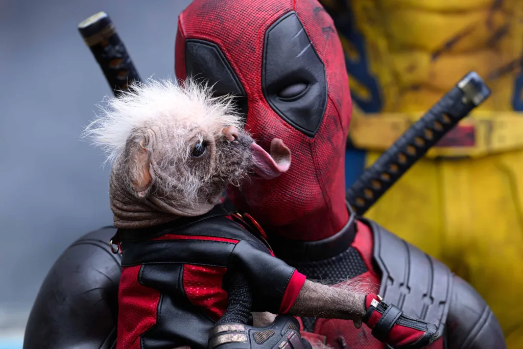 Deadpool and doggo