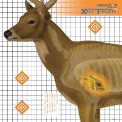 Champion Deer X-Ray Target 6-Pack