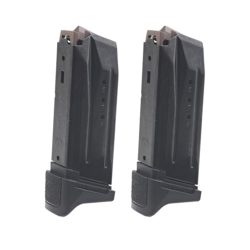 Ruger Secuirty-380 .380 ACP 10-Round Magazine 2-Pack 