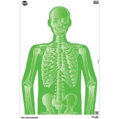 Allen EZ Aim Imposing Figures 12"x18" Paper Targets 8-Pack