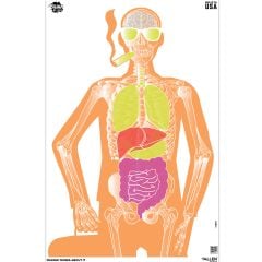 Allen EZ Aim Makin Bones About it 23"x35" Paper Targets 3-Pack