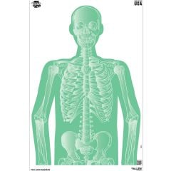 Allen EZ Aim You Look Radiant 23"x35" Paper Targets - 3 Pack