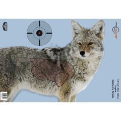 Birchwood Casey 16.5x24" Pregame Coyote Target 3-Pack