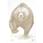Action Target Alaska State Parks Bear Target 100-Pack