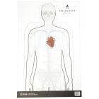 Action Target Fieldcraft Survival Double Sided Target 100-Pack