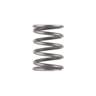 Dead Air Piston Spring for Booster Assembly