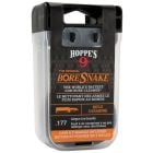 Hoppe's Boresnake with Den