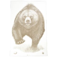 Action Target Alaska State Parks Bear Target 100-Pack