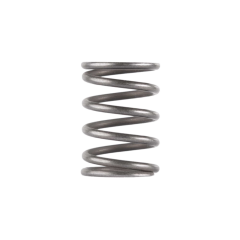 Dead Air Piston Spring for Booster Assembly